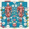 Qué tan compatibles son los adaptógenos con Trenbolone