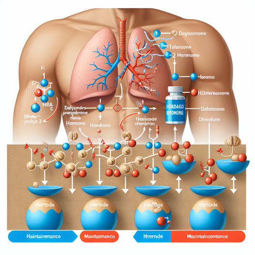 Dehydroepiandrosteron en fases de mantenimiento